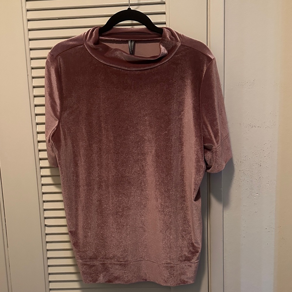 Anthropologie Velvet Blouse in Soft Pink